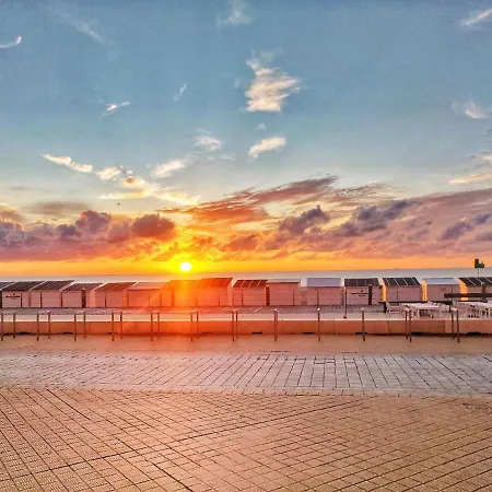 The Surf Lejlighed *